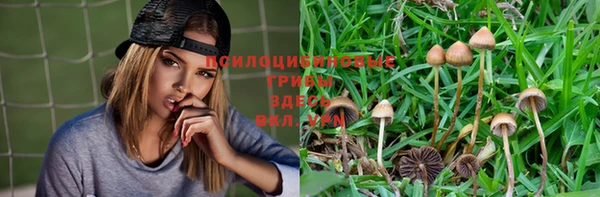 мяу мяу кристалл Козловка