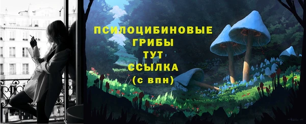 ГАЛЛЮЦИНОГЕННЫЕ ГРИБЫ Киреевск